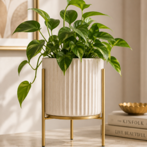 Velora Nordic Ceramic Planter – Ivory White